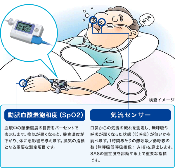 気流センサー：口鼻からの気流の流れを測定し、無呼吸 や呼吸が弱くなった状態（低呼吸）が無い かを調べます。1時間あたりの無呼吸／低呼 吸の数（無呼吸低呼吸指数： AHi)を算出 します。SASの重症度を診断する上で重要な指標です。動脈血酸素飽和度（SpO2）：血液中の酸素濃度の目安をパーセントで 表示します。換気が悪くなると、酸素濃度 が下がり、体に悪影響を与えます。換気の 指標となる重要な測定項目です。